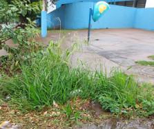 Presidente da Udam cobra bom exemplo da Prefeitura de Dourados