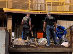 PF incinera 6,3 toneladas de drogas em Dourados