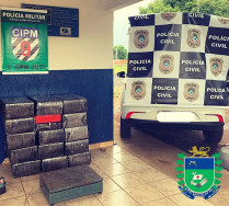 Droga apreendida por  p𝐨𝐥𝐢𝐜𝐢𝐚𝐢𝐬 m𝐢𝐥𝐢𝐭𝐚𝐫𝐞𝐬 𝐝𝐚 𝟗ª 𝐂𝐈𝐏𝐌 com a 𝐞𝐪𝐮𝐢𝐩𝐞 𝐝𝐚𝐬 p𝐨𝐥í𝐜𝐢𝐚𝐬 𝐢𝐯𝐢𝐬 𝐝𝐞 𝐉𝐮𝐭𝐢 𝐞 𝐂𝐚𝐚𝐫𝐚𝐩ó (Foto: Divulgação)