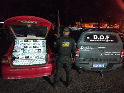 Apreensão de cigarros contrabandeados (Foto: Assessoria)