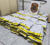 PF apreende 240 kg de agrotóxicos contrabandeado da Bolívia