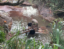 Condutor perde controle, Celta cai em córrego e dois morrem
