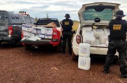 DOF apreende R$ 1 milhão em agrotóxico contrabandeado