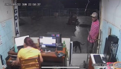 Câmeras de segurança flagram momento em que homem invade guichê (Foto: Reprodução)