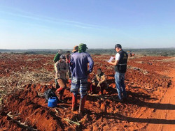 Exposição fotográfica mostra trabalhadores escravizados em MS