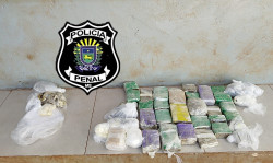 Drogas apreendidas na PED (Foto: Adilson Domingos)