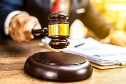 Leilão virtual está aberto até o dia 10 de fevereiro (Foto: Reprodução)