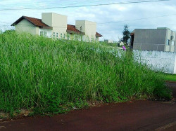Proprietários tem o prazo de 10 dias úteis para fazer limpeza (Foto: Assecom)
