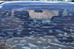 Com o passar do tempo a película pode danificar, criar bolhas e ficar desfocada (Foto: Assessoria)