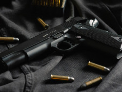 PF inicia recadastramento das armas registradas no Sigma