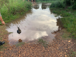 Ambiental captura sucuri de quase dois metros em rua de Dourados