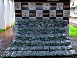 DOF apreende 750 quilos de agrotóxicos contrabandeados em Dourados