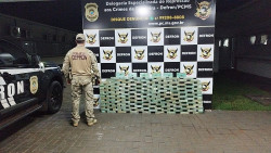 Droga avaliada em R$ 2.9 milhões é apreendida pela Defron (Foto: Adilson Domingos)