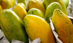 Vencimento será entre 8 de fevereiro de 2023 e 31 de janeiro de 2024 (Foto: Agência Brasil)