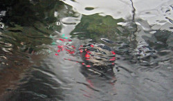 Dourados terá máxima de 31°C (Foto: Assessoria)