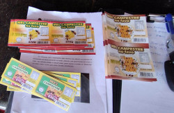 Iagro comprovou adulteração em mel de abelha vendido em Dourados