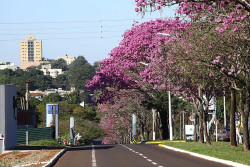 Segunda-feira de sol com algumas nuvens em Dourados; não chove