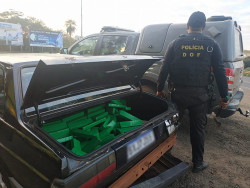 DOF apreende 100 quilos de maconha que seriam levados para São Paulo