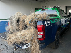 Polícia apreende 500 metros de redes em rios da região sul de MS
