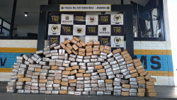 Polícia Militar Rodoviária apreende mais de 200 quilos de maconha