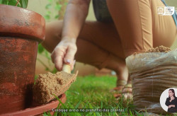 Governo através da SES faz campanha de alerta (Foto: Assessoria)
