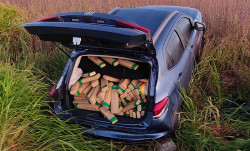 Polícia apreende SUV com carga de maconha avaliada em R$ 1 milhão