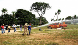 MS se prepara para controlar e combater incêndios florestais
