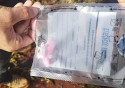 Menina de 6 anos é sequestrada e morta em Douradina; autor está preso