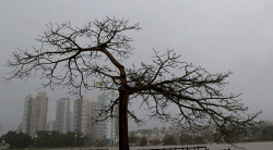 Domingo com previsão de chuva para todo Estado (Foto: Assessoria)