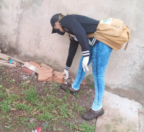 Multas do CCZ já somam quase R$ 250 mil no ano