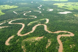 Conforme o alerta, o leito do rio Miranda poderá atingir o nível de emergência (Foto: Reprodução)