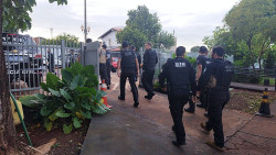 Polícia Civil faz duas ações contra o narcotráfico em Dourados