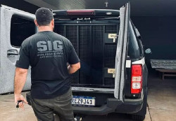 Homem foi preso em flagrante (Foto: Reprodução)