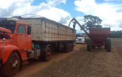 Colheita é encerrada e máquinas deixam fazenda ocupada por indígenas