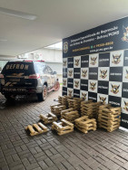 Droga apreendida pela Defron (Foto; Assessoria)