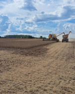 Colheita da soja supera 2 milhões de hectares em MS