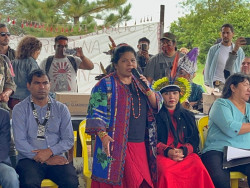 Ministra Sonia Guajajara durante discurso em Rio Brilhante (Foto: Dourados Informa)
