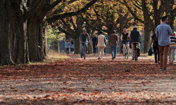 Centro-Oeste terá chuvas perto da média em Mato Grosso (Foto: Agência Brasil)