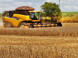 Produção agrícola deve aumentar 10% e superar 70 milhões de toneladas