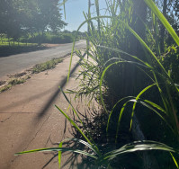 Limpeza pública fica R$ 3,7 milhões mais cara para douradenses