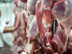Frigoríficos voltam a exportar em Mato Grosso do Sul (Foto: Assessoria)