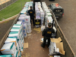 Carga de inseticidas apreendido pelo DOF (Foto: Assessoria)