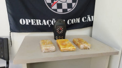 Droga apreendida em Dourados (Foto: Adilson Domingos)