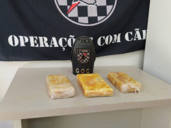 Droga apreendida em Dourados (Foto: Adilson Domingos)
