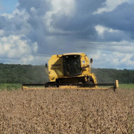 Colheita da soja pode ser finalizada nesta semana