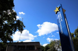 Saúde realiza web aula sobre notificação de casos de dengue no ambiente hospitalar (Foto: Reprodução)