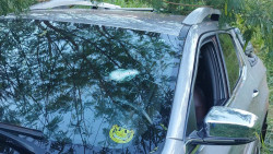 Motorista de picape é baleado e morre em Dourados