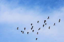 Céu aberto sem previsão de chuva (Foto: Assessoria)