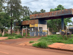 Multas aplicadas pelo CCZ superam R$ 475 mil em Dourados