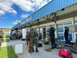 PF e Exército usam cães farejadores em ação no aeroporto de Ponta Porã